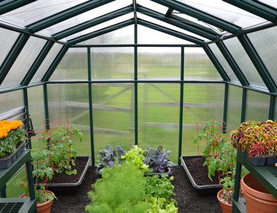 Palram - Canopia | Hobby Gardener Greenhouse Greenhouses Palram - Canopia 