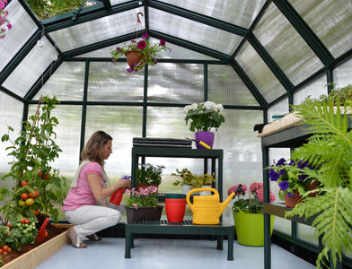 Palram - Canopia | Hobby Gardener Greenhouse Greenhouses Palram - Canopia 